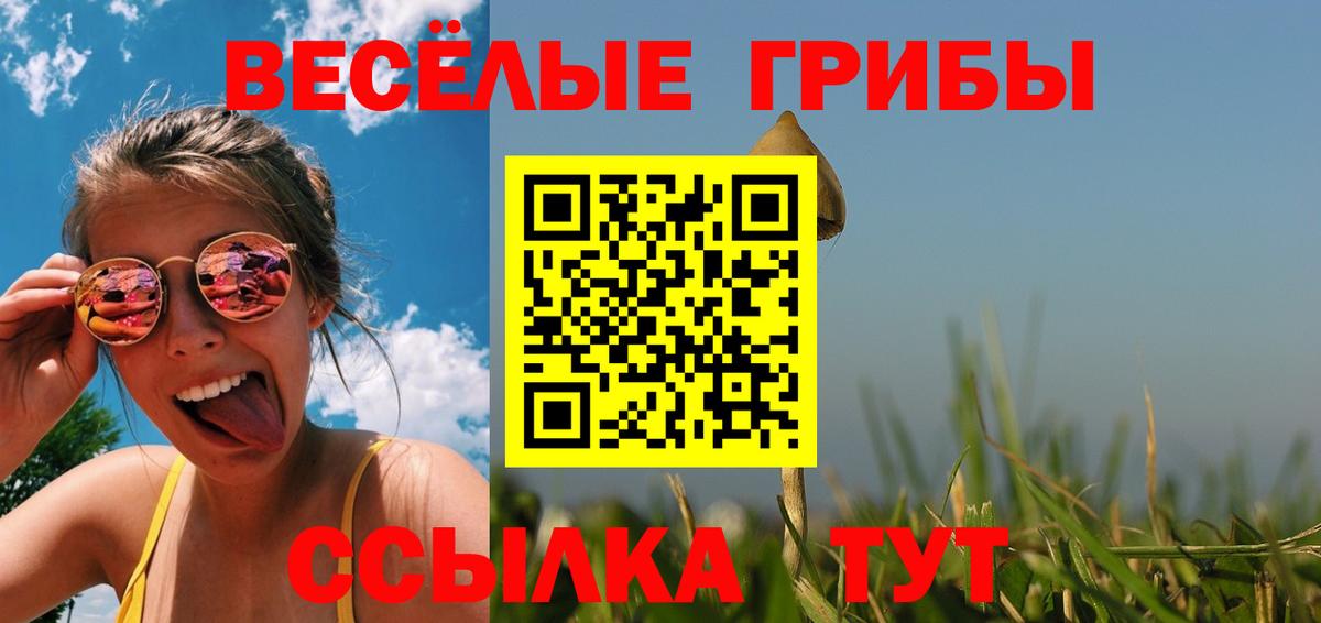 Галлюциногенные грибы прущие грибы  Галлюциногенные грибы Psilocybe  Вход с VPN  Краснознаменск 